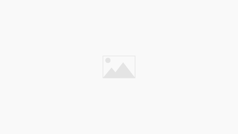 Preparación Académica y Orientación Vocacional 2023